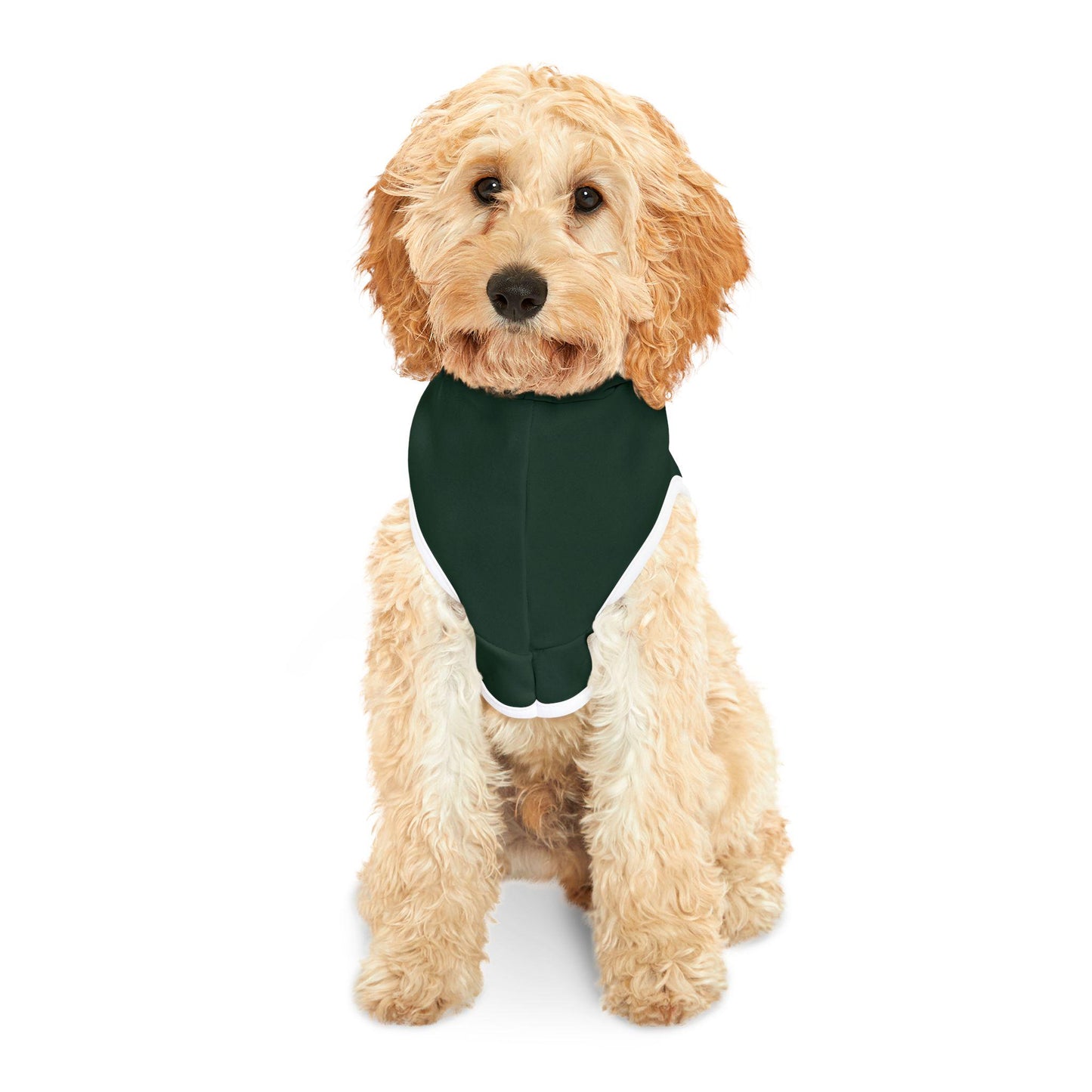 Springboks Pet Hoodie, South African Rugby Team Apparel for Dogs Cats, Cute & Comfy Sportswear